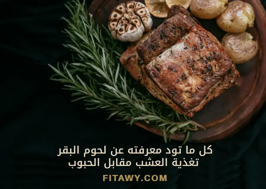 كل ما تود معرفته عن لحوم البقر: تغذية العشب مقابل الحبوب